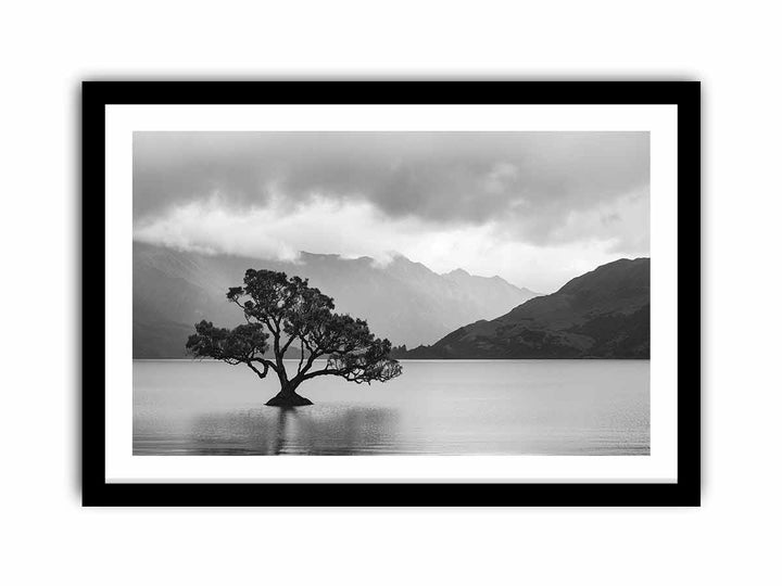 Isolated Tree  Art Print