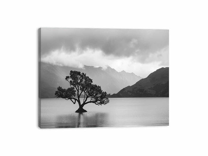 Isolated Tree Canvas Print