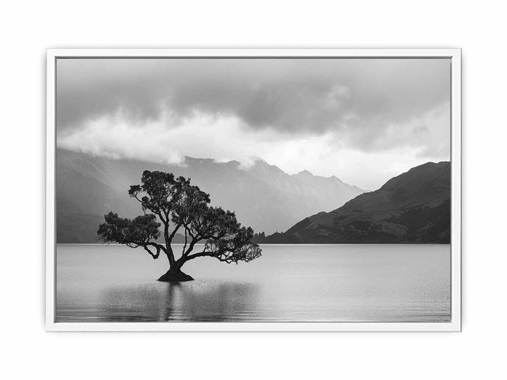 Isolated Tree Framed Print