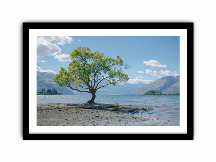 That Wanaka Tree  Art Print