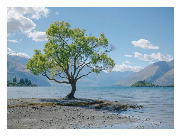 That Wanaka Tree