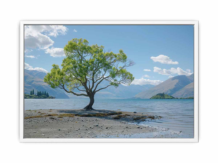 That Wanaka Tree Framed Print