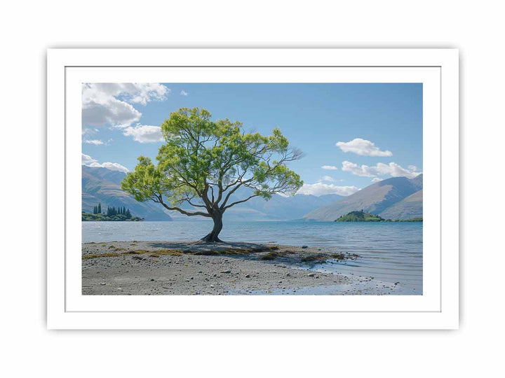 That Wanaka Tree Streched canvas