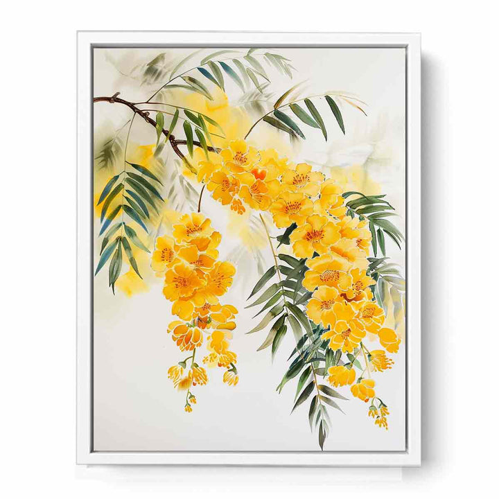 Acacia Framed Print