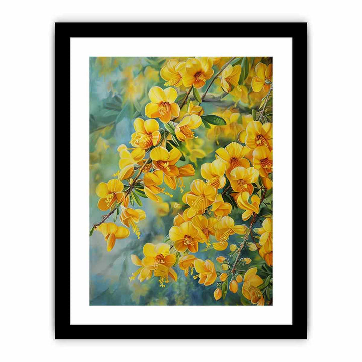 Acacia Flowers  Art Print