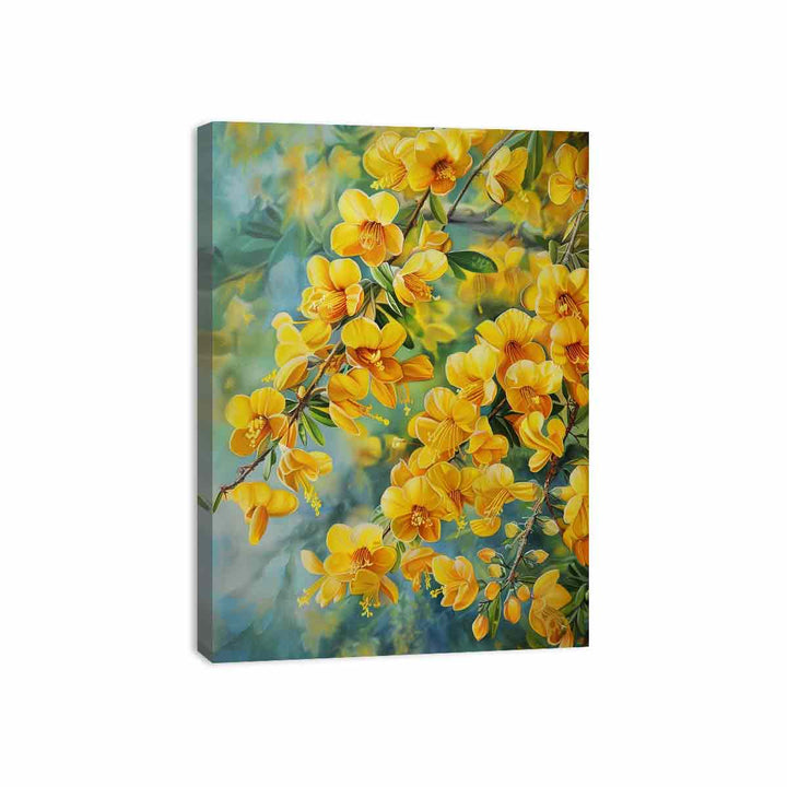 Acacia Flowers Canvas Print