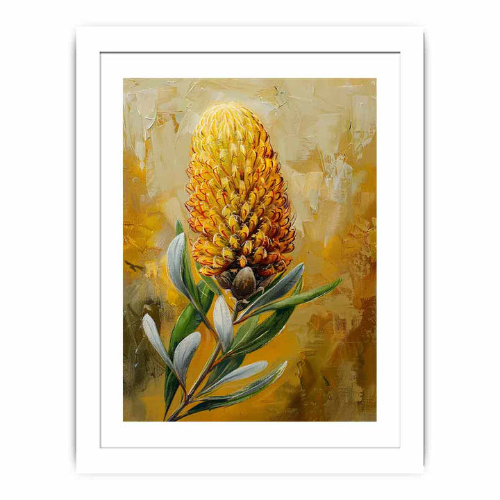 Banksia Streched canvas