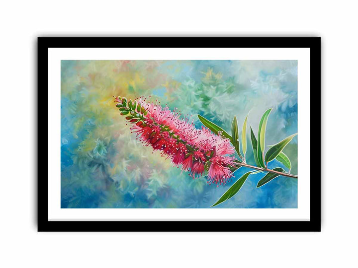 Bottlebrush  Art Print