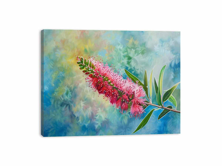 Bottlebrush Canvas Print