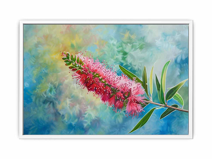 Bottlebrush Framed Print