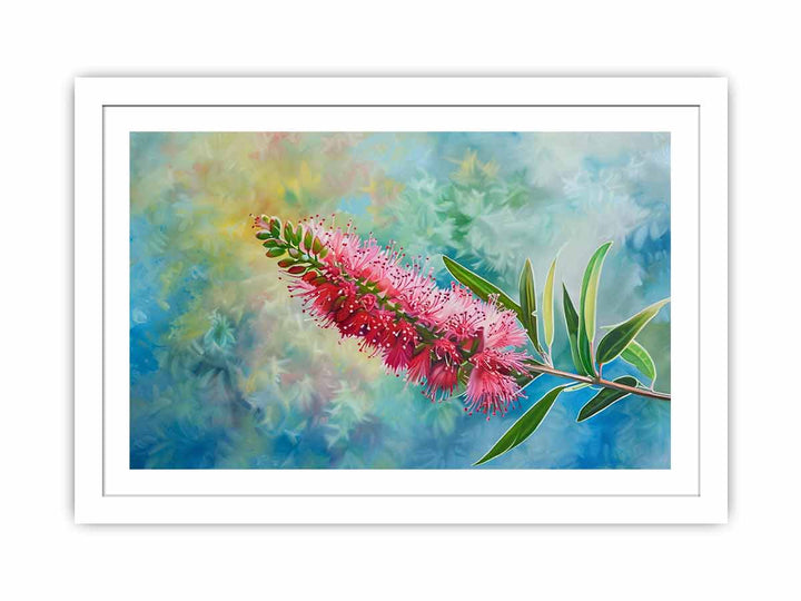 Bottlebrush Streched canvas