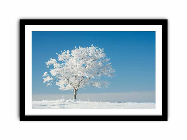 Solitary Tree   Art Print