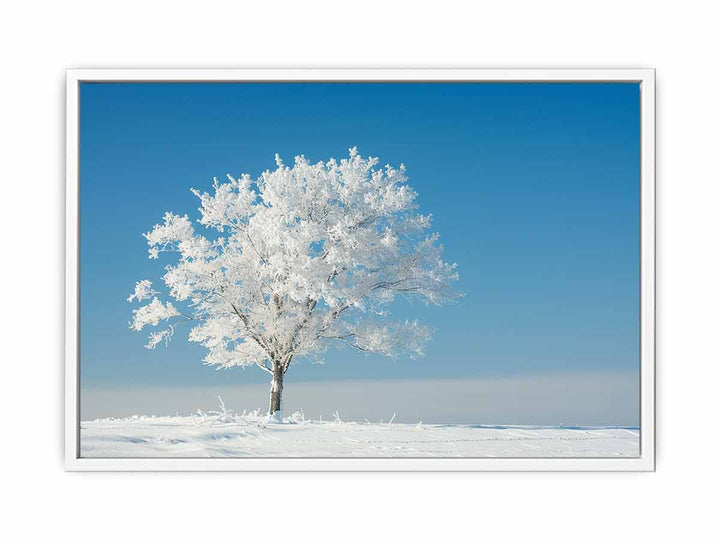 Solitary Tree  Framed Print