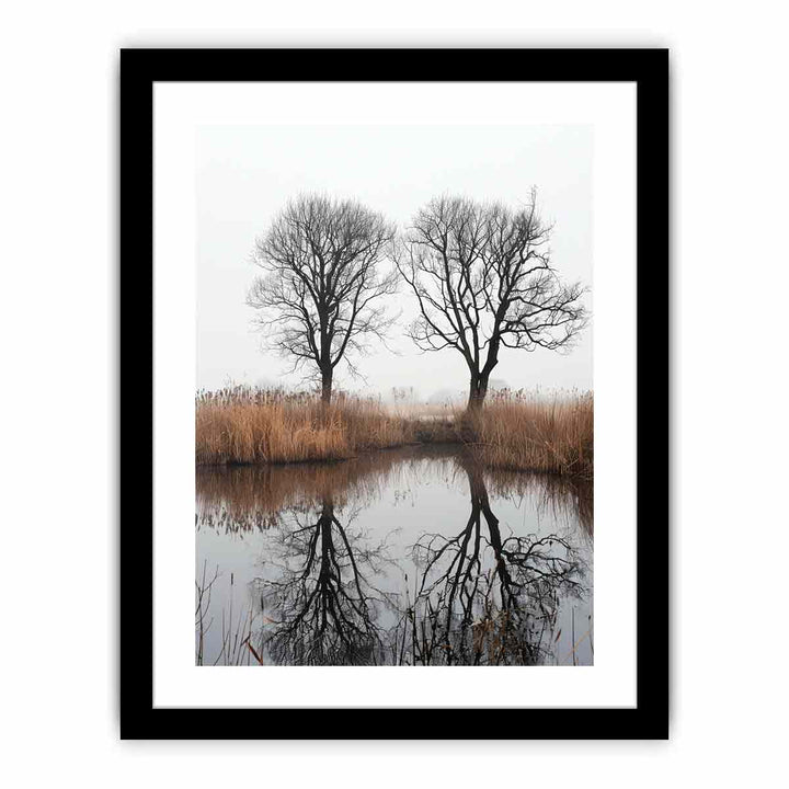 TwoTrees  Art Print