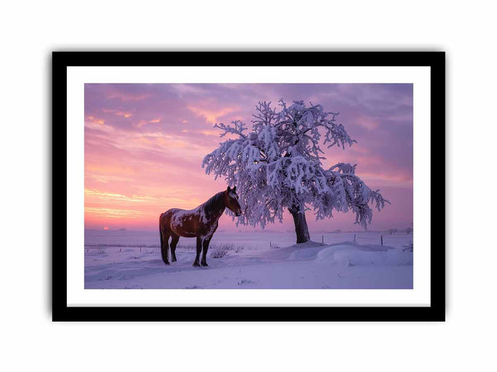 Horse In Winter   Art Print