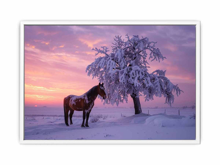 Horse In Winter  Framed Print