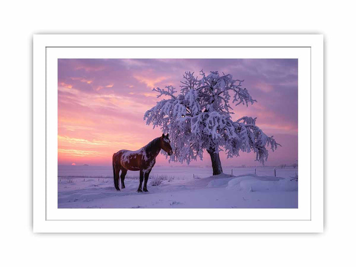 Horse In Winter  Streched canvas