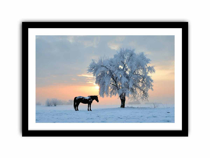 Horse In Winter   Art Print