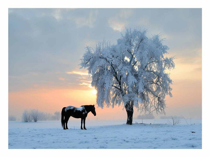 Horse In Winter 