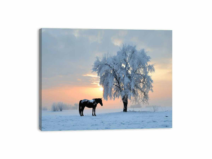 Horse In Winter  Canvas Print