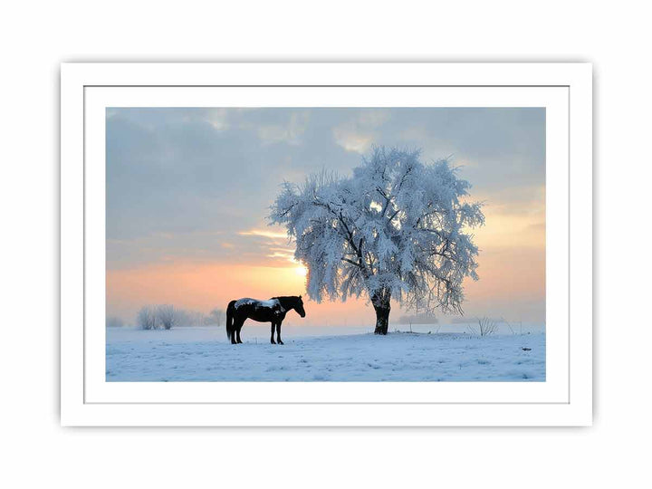 Horse In Winter  Streched canvas