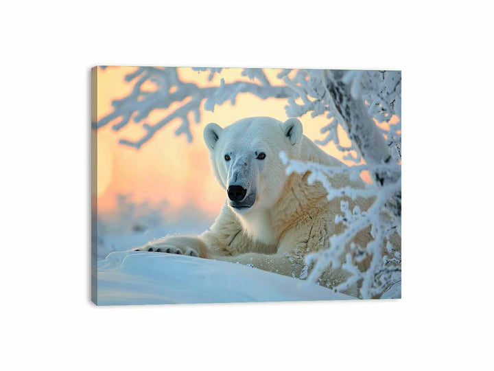 Cute Polar Bear Canvas Print