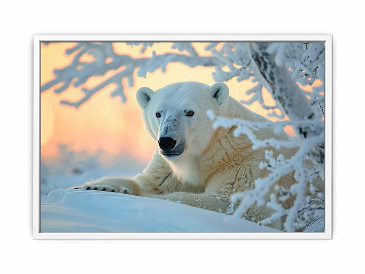 Cute Polar Bear Framed Print