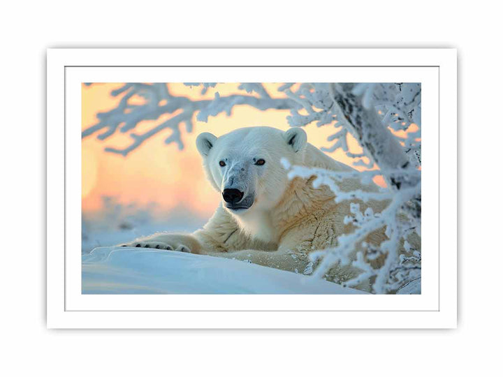 Cute Polar Bear Streched canvas