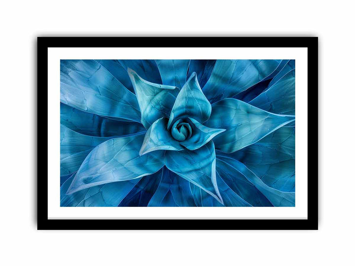 Agave  Art Print