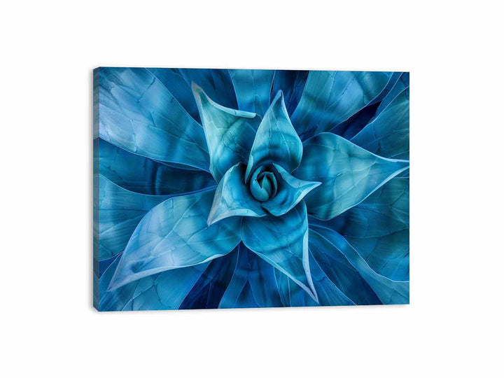 Agave Canvas Print