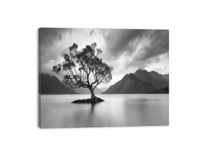 In The Lake Canvas Print