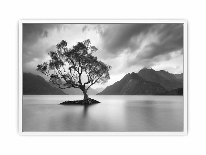 In The Lake Framed Print