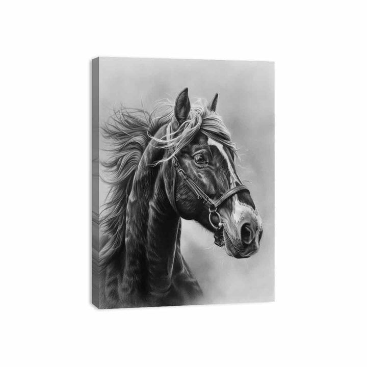 Lovely Horse Canvas Print