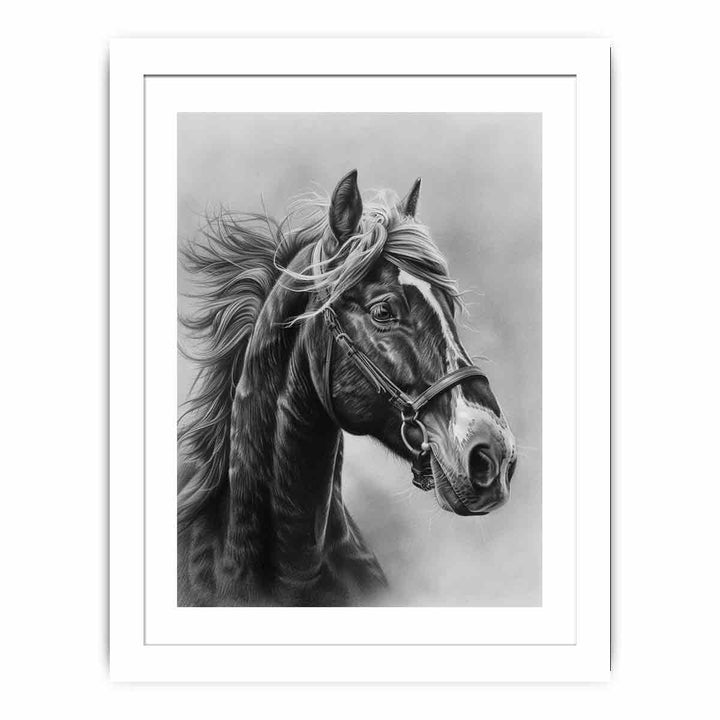 Lovely Horse Streched canvas