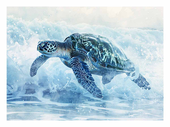 Turtle In Sea 