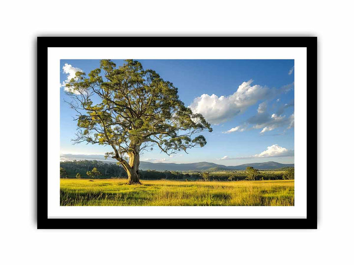 Countryside   Art Print