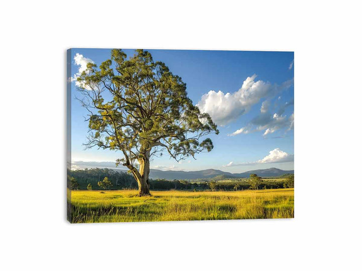 Countryside  Canvas Print