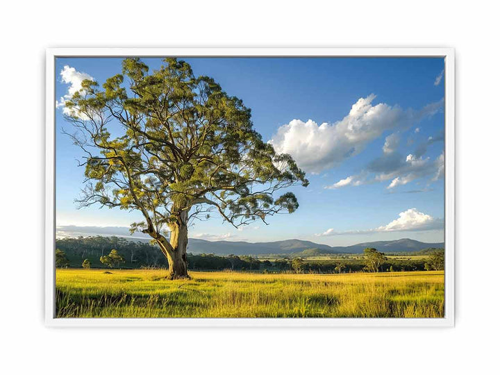 Countryside  Framed Print