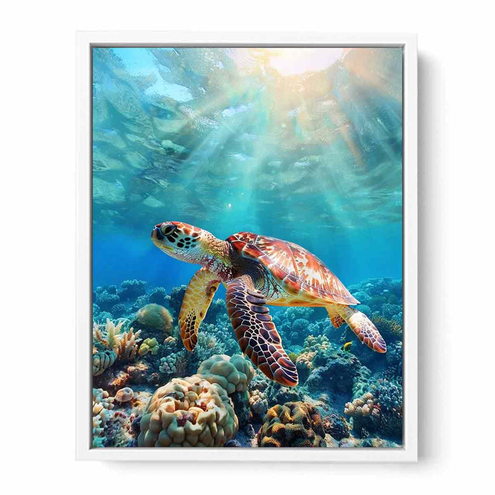 Turtle In  Sea  Framed Print