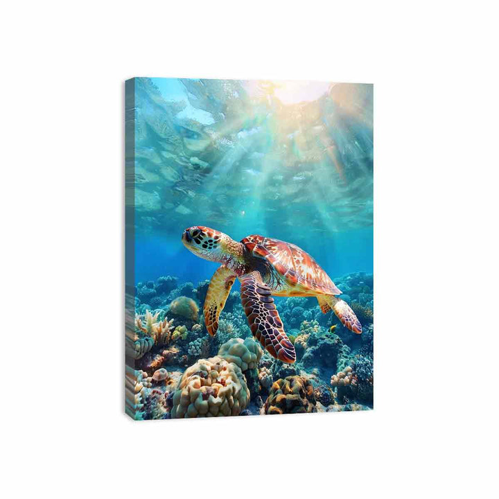 Turtle In  Sea  Canvas Print