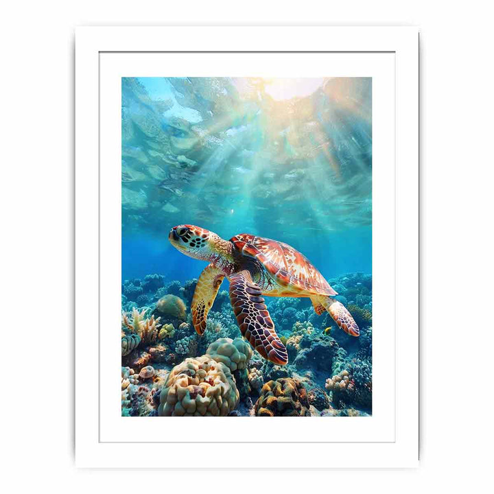 Turtle In  Sea  Streched canvas