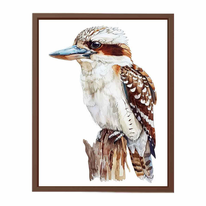 Kookaburra   Poster