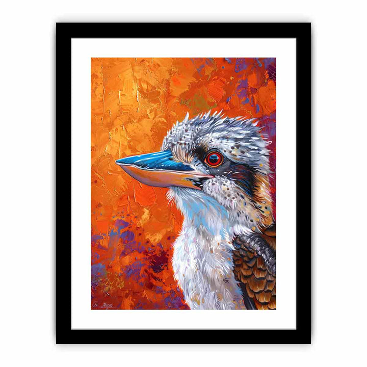 Kookaburra   Art Print