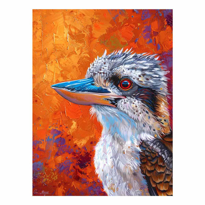 Kookaburra 