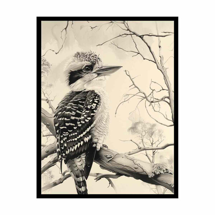 Kookaburra   Painting