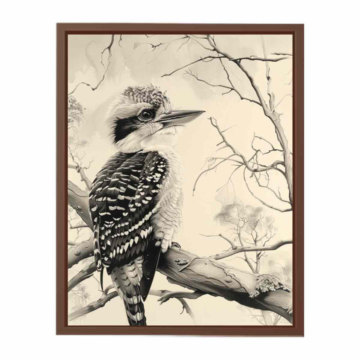 Kookaburra   Poster