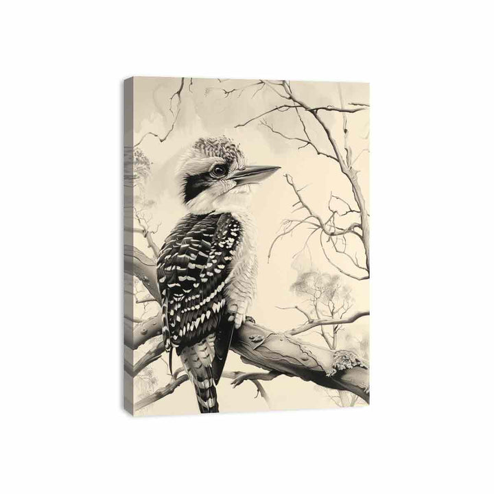 Kookaburra  Canvas Print