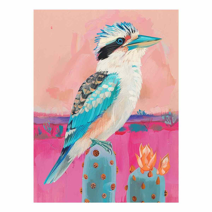 Kookaburra 