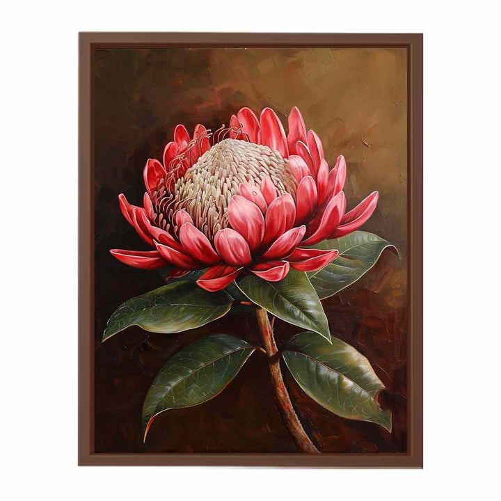 Waratah   Poster