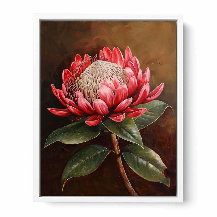 Waratah  Framed Print